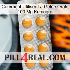 Comment Utiliser La Gelée Orale 100 Mg Kamagra levitra1